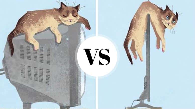 les chats et la technologie