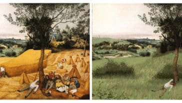 musée sans gluten