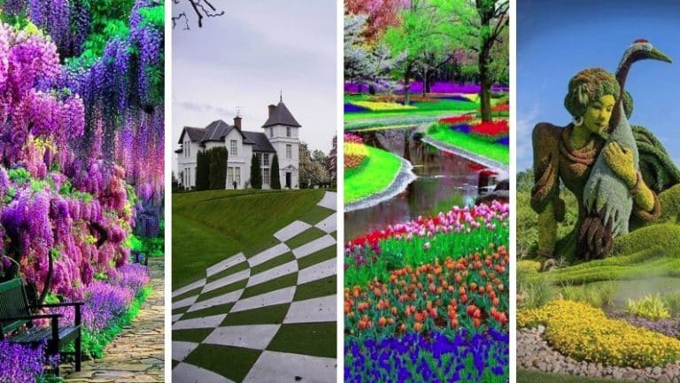 jardins incroyables colorés à travers le monde