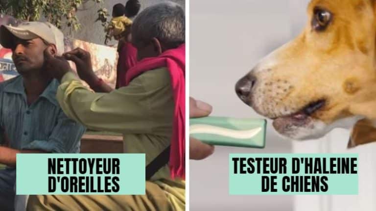 métiers insolites