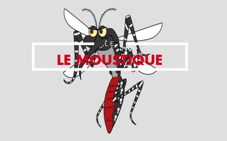 animaux les plus dangereux moustique