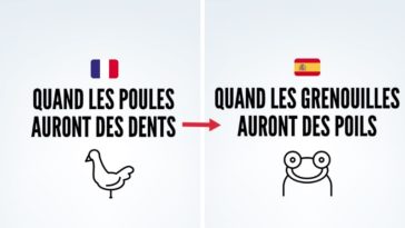 expressions tournures de phrases