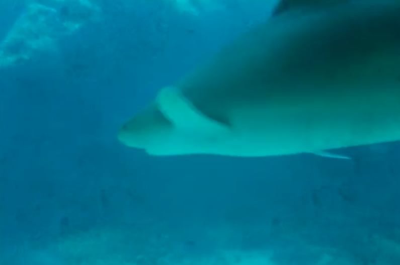 Capture d’écran 2016-07-20 à 14.10.46