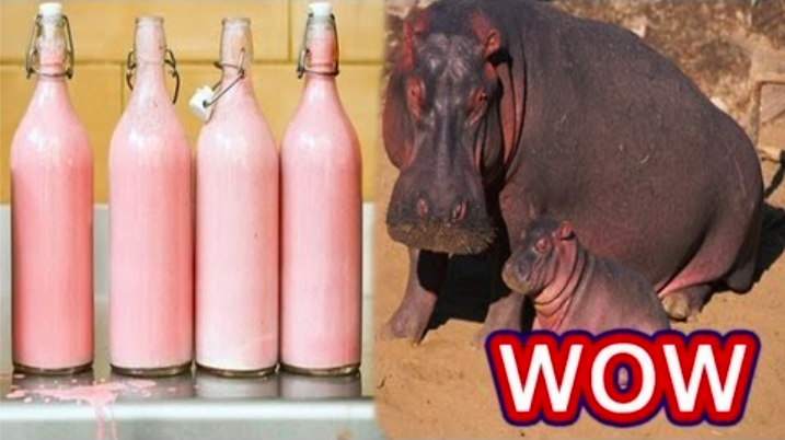 13 faits etranges que vous ignorez sur les animaux (1)