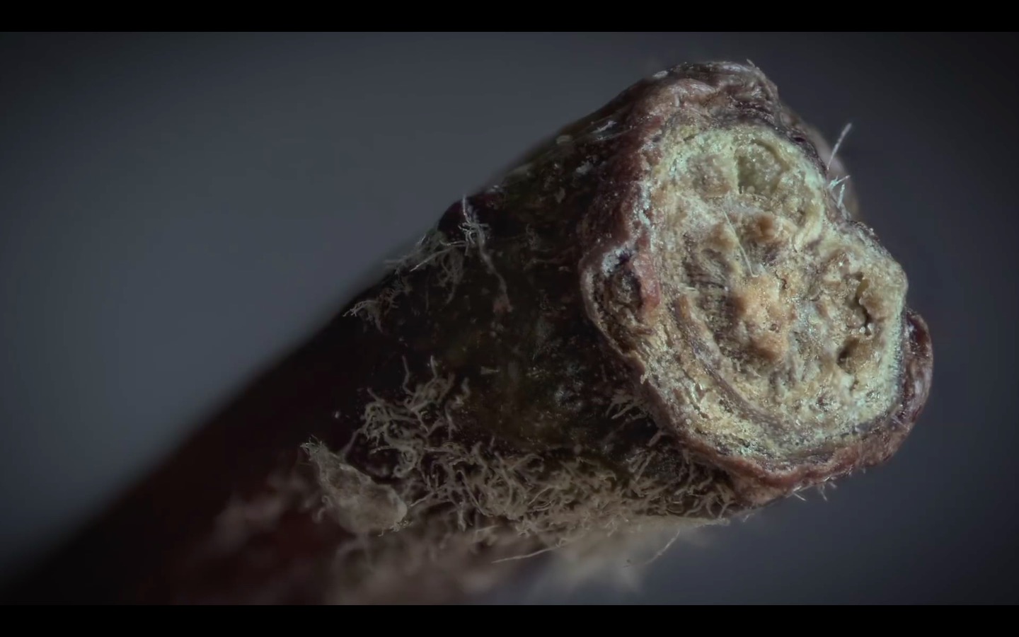 photo 2016-08-12 à 09.35.41