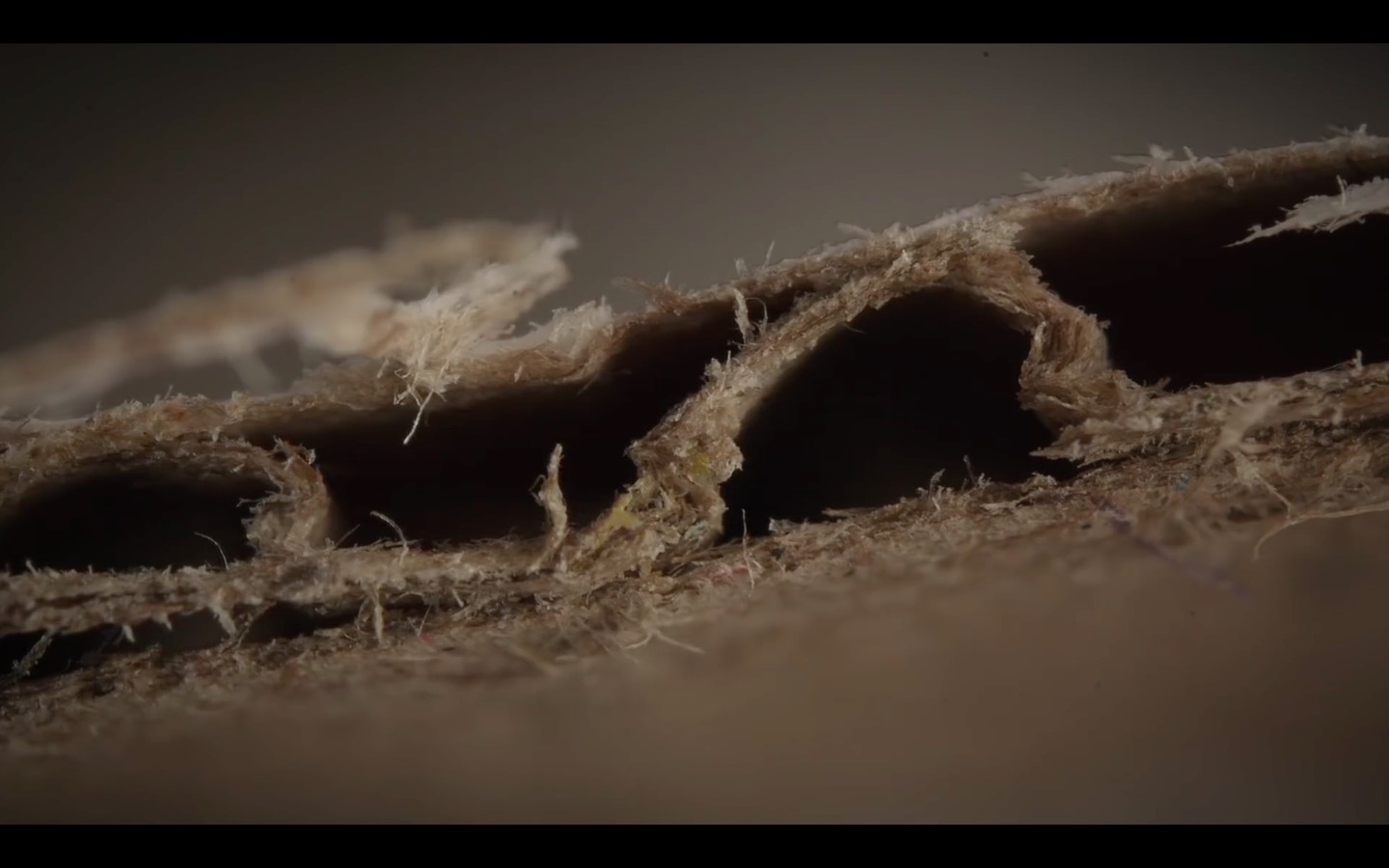 photo 2016-08-12 à 09.39.16