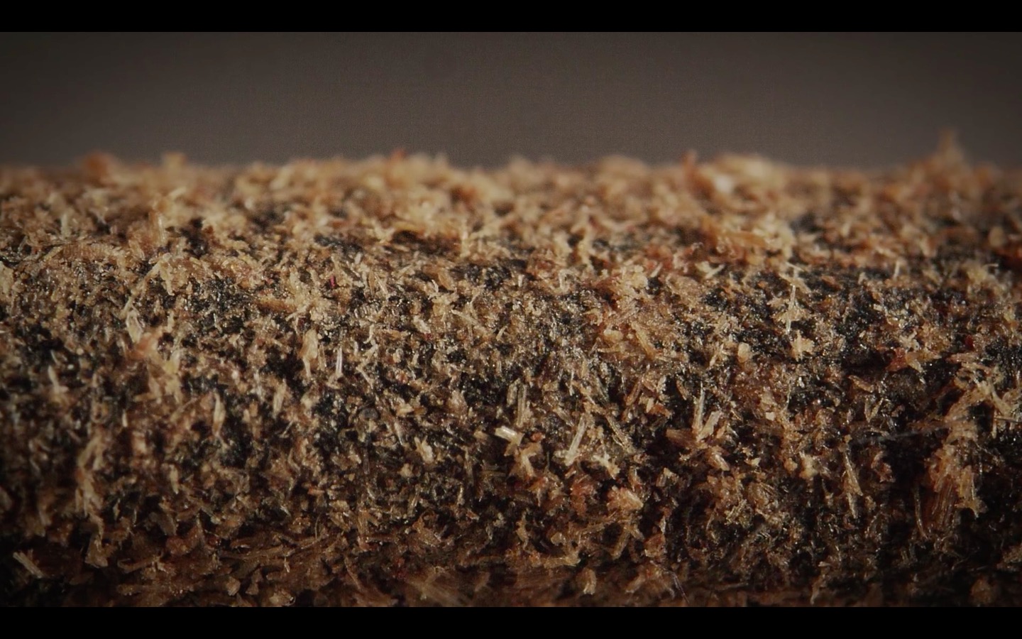 photo 2016-08-12 à 09.40.16