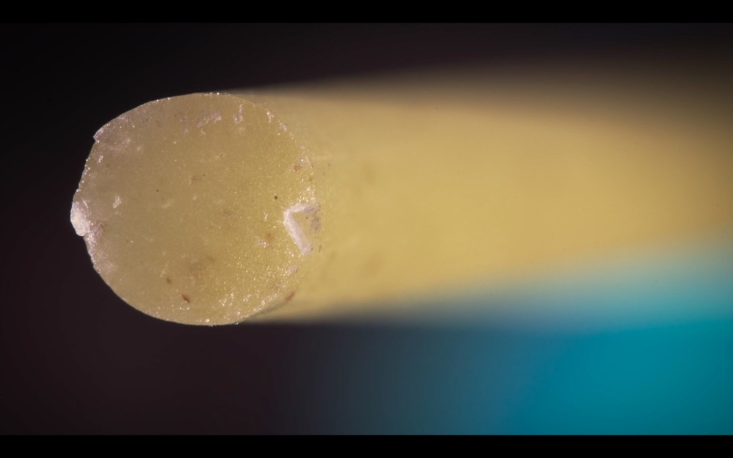 photo 2016-08-12 à 09.40.46