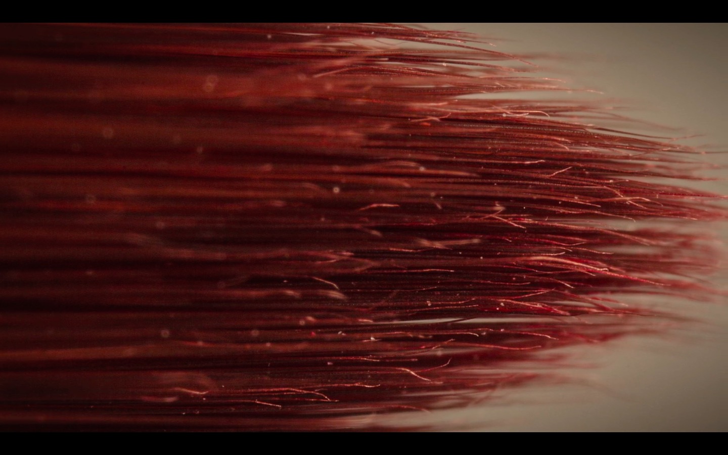 photo 2016-08-12 à 09.43.00