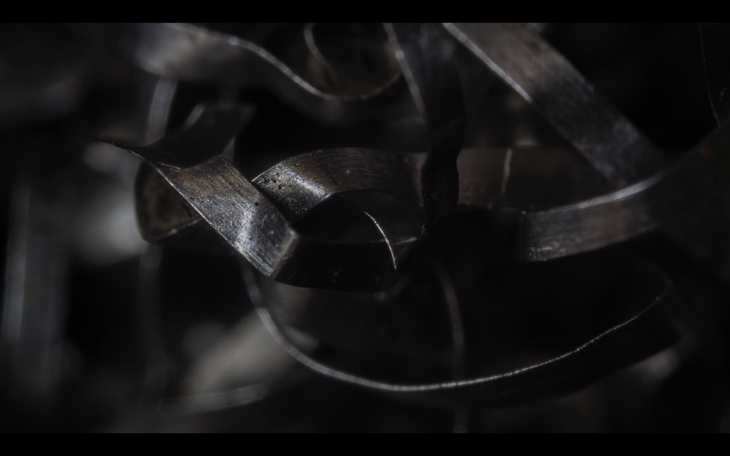 photo 2016-08-12 à 09.43.53