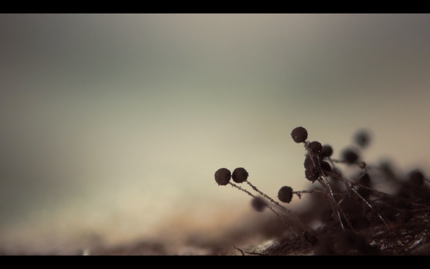 photo 2016-08-12 à 09.44.41
