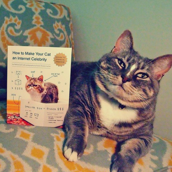 10-gadgets-improbables-pour-votre-chat-3