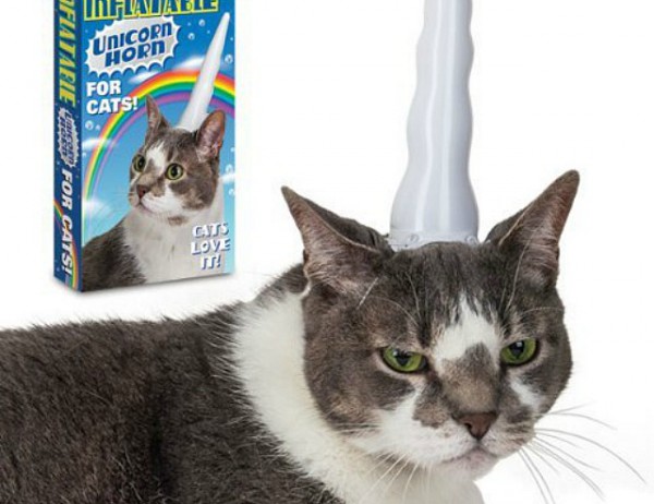 10-gadgets-improbables-pour-votre-chat-9