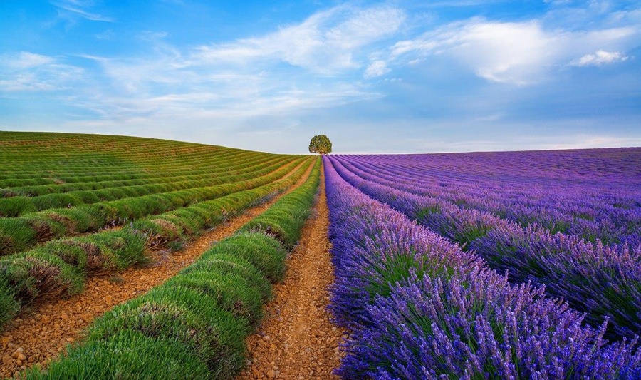 17-photos-completement-fascinantes-2