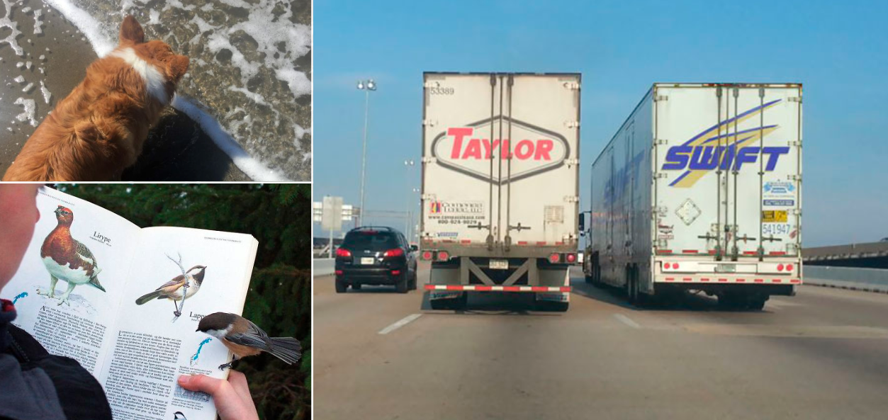 coïncidences insolite couv