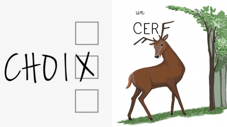 dessins pour éviter les fautes orthographe
