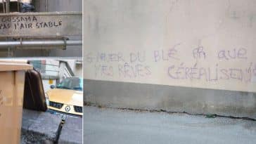 tags et graffitis drôles murs rue