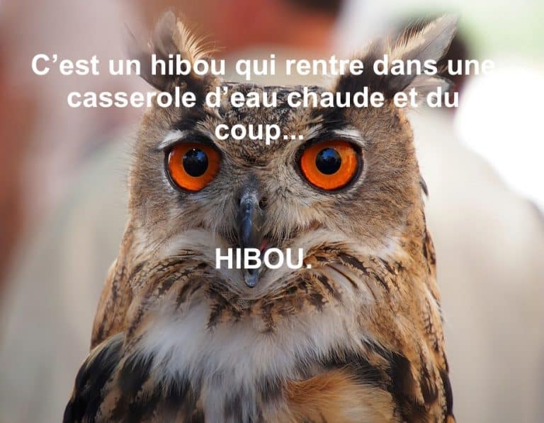 blagues pourries