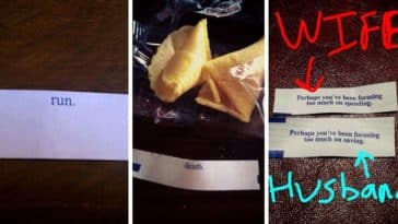 fortunes cookies humour