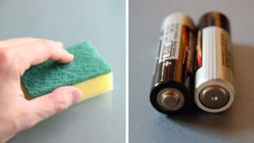 aliments et objets danger chien