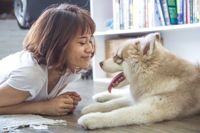 chien femme pexels
