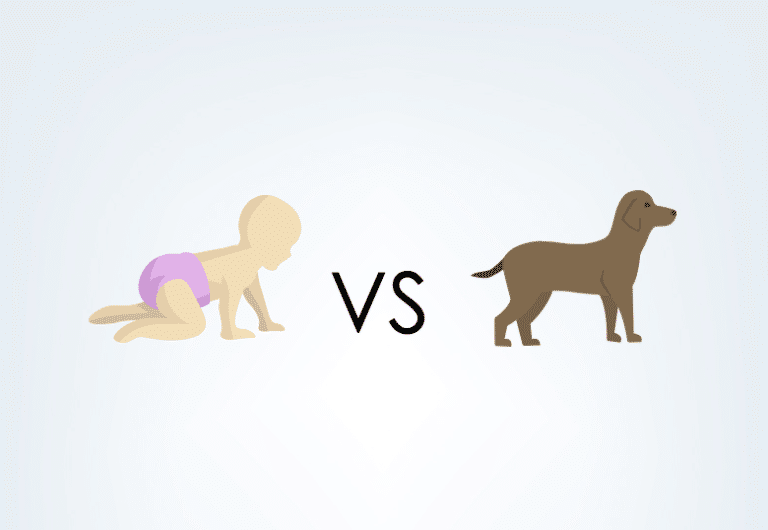 enfant vs chien