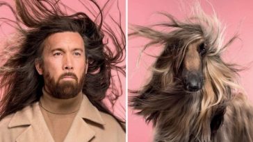 tel chien tel maitre