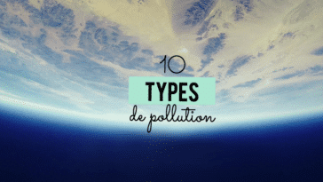 pollution humaine