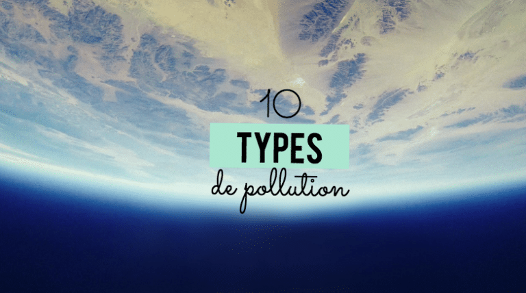 pollution humaine