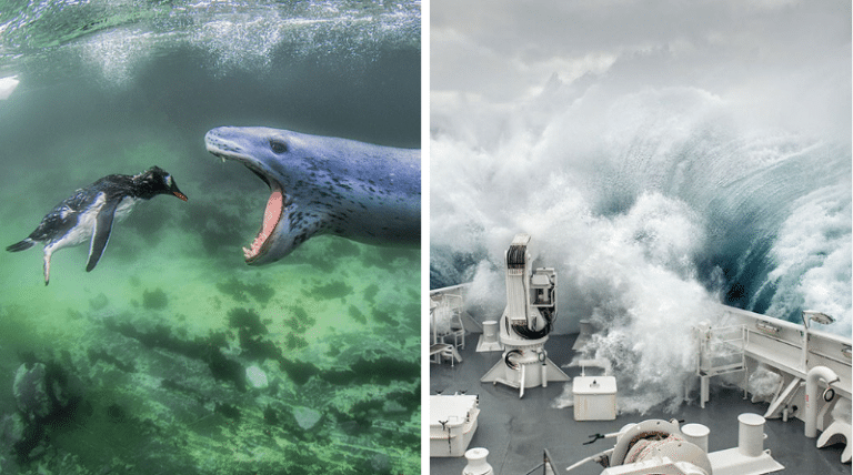 Siena International Photo Awards