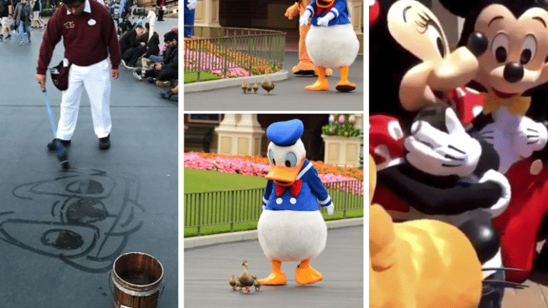 Disneyland