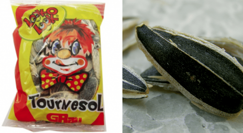 graines de tournesol pipas