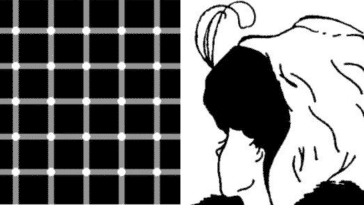 Illusions d'optique