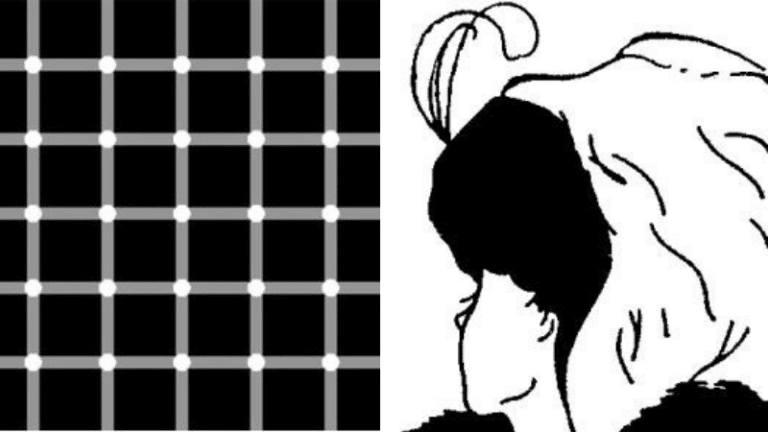 Illusions d'optique