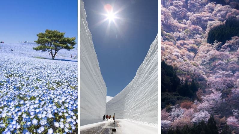 Japon nature photos incroyables