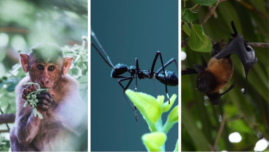 planète survie sur terre
