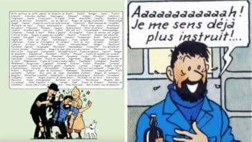 insultes du capitaine haddock decryptees