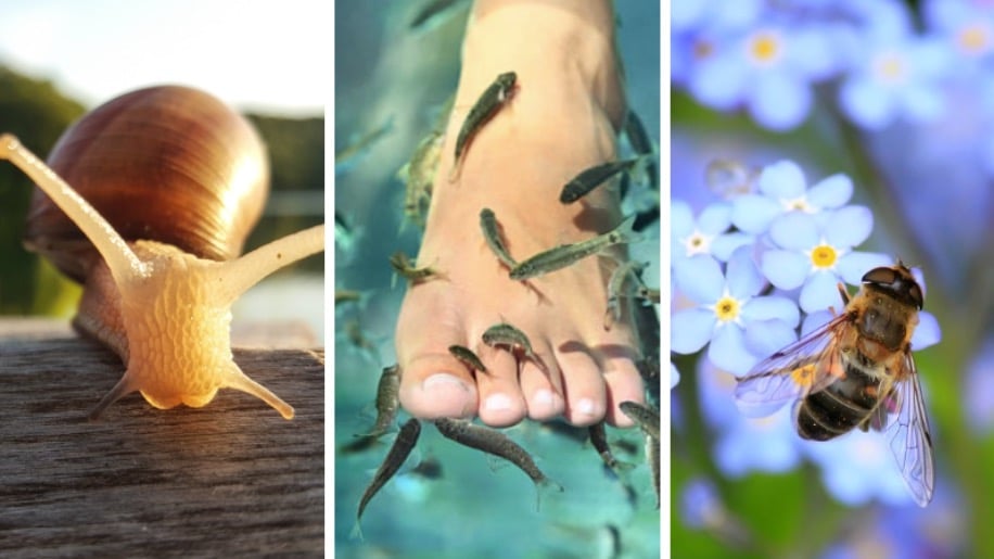 facons surprenantes de prendre soin de son corps