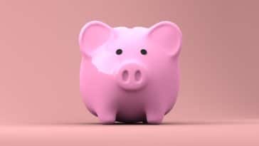 tirelire cochon argent astuces de radins