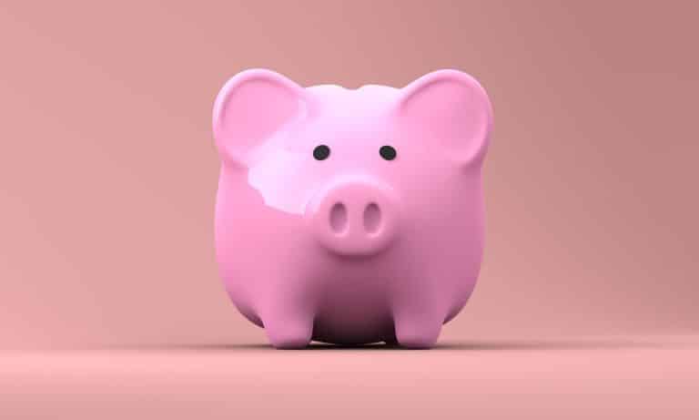 tirelire cochon argent astuces de radins