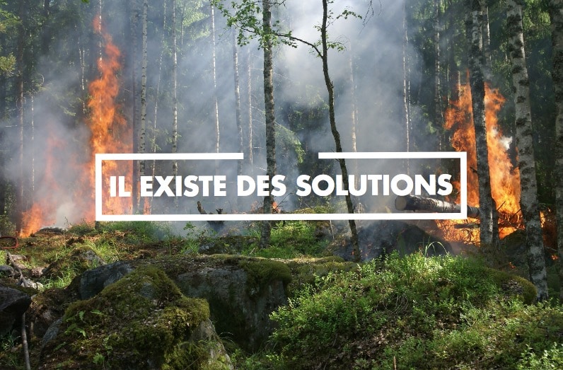 feux de forêt en Amazonie