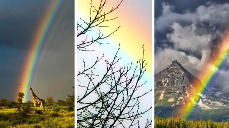 magnifiques photos arc en ciel