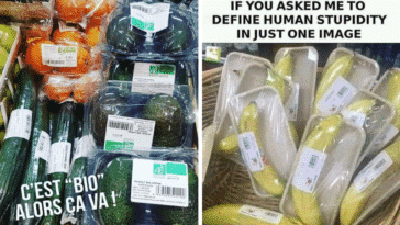 emballage plastique bête bêtise nature environnement suremballage produit alimentaire