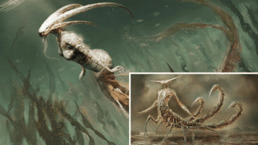 signe zodiac astrologique monstre hybride sombre