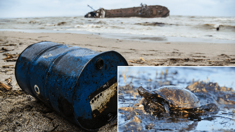 pires marées noires histoire mer océan accidents écologiques nappes industriels hydrocarbures