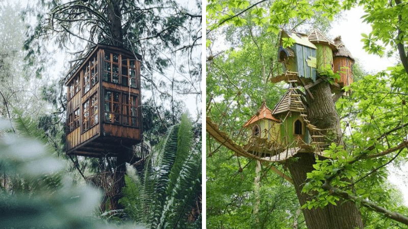 cabanes forêts bois arbres palmiers enfance enfants