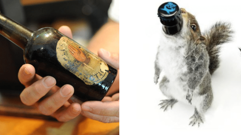 bières les plus chères du monde mousse rousse ambrées blonde arctic