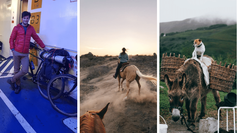 voyages thématiques âne vélo cheval France
