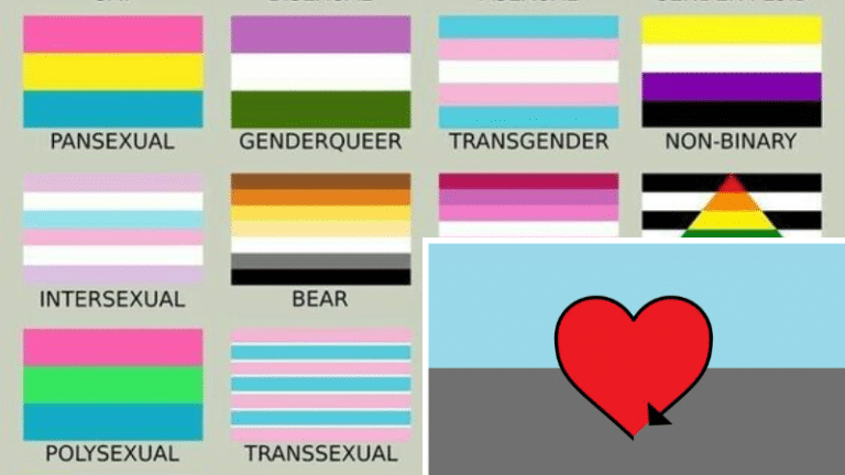orientations sexuelles pansexuel asexuel demisexuel polysexuel sapiosexuel skoliosexuel