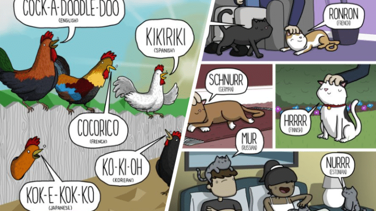 onomatopées langues pays différentes traductions sons